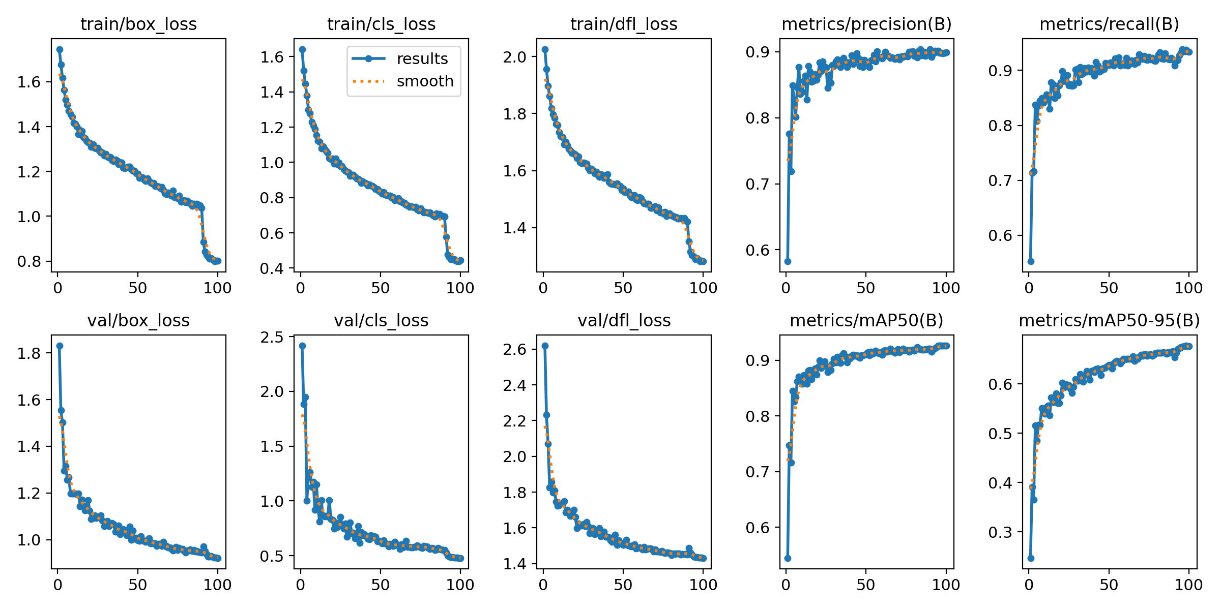 Training and Validation Losses