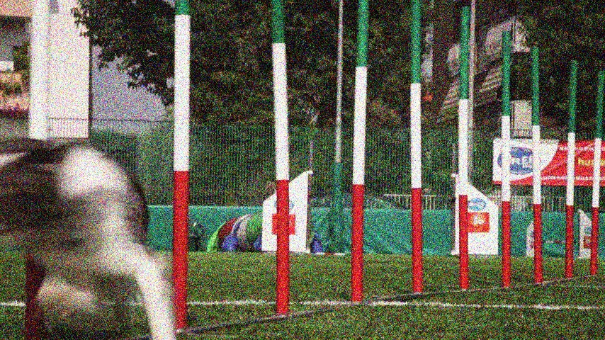 00018.jpg