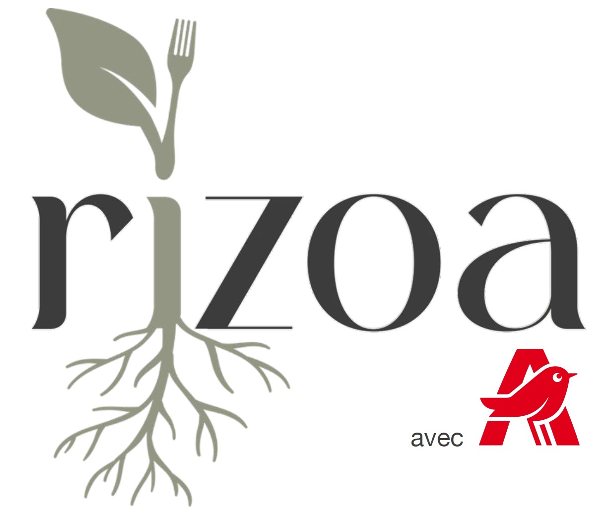 logo_rizoa_auchan.jpg